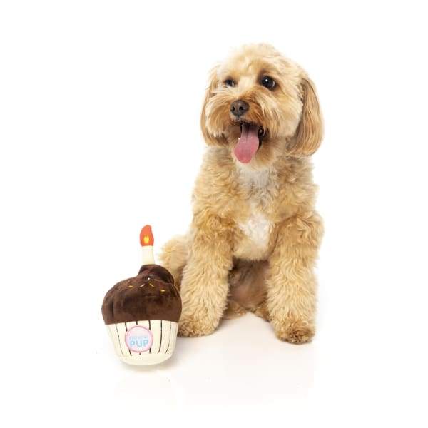 Fuzzyard Birthday Cupcake Plush Dog Toy - Soft & Cute Stuffed Animal for Dogs - Perfect Gift for Pet Birthday Parties & Celebrations