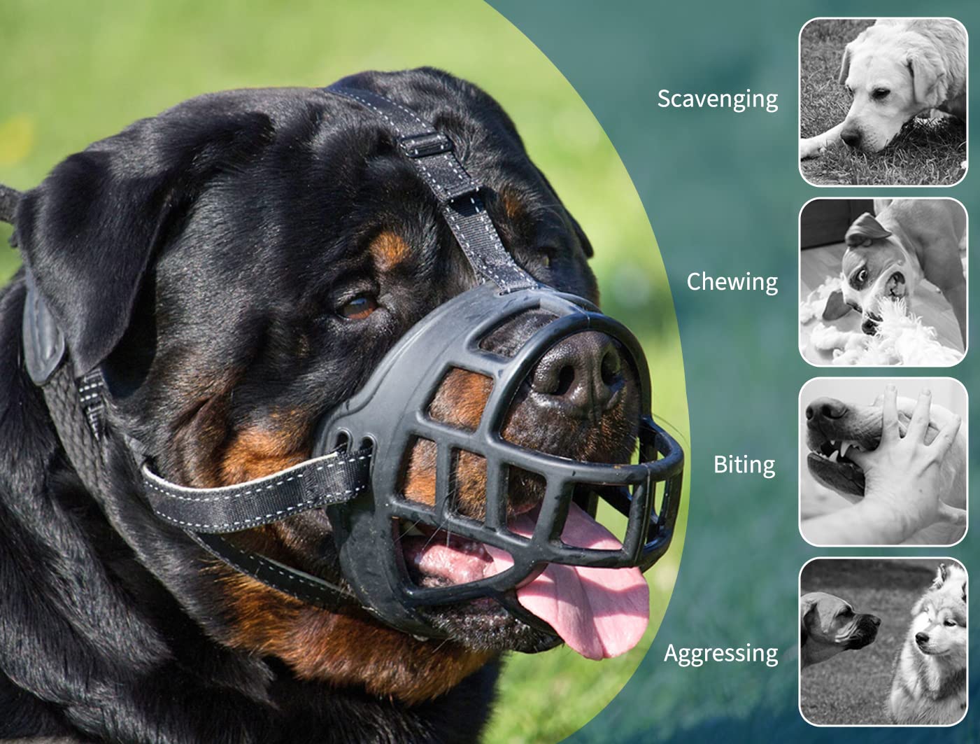 BARKLESS Soft Silicone Basket Dog Muzzle - Breathable & Adjustable for Comfort, Allows Panting Drinking & Treats - Stops Barking Biting Chewing - Includes Collar & Training Guide - Perfect for Training, Grooming, Vet Visits & Public Outings