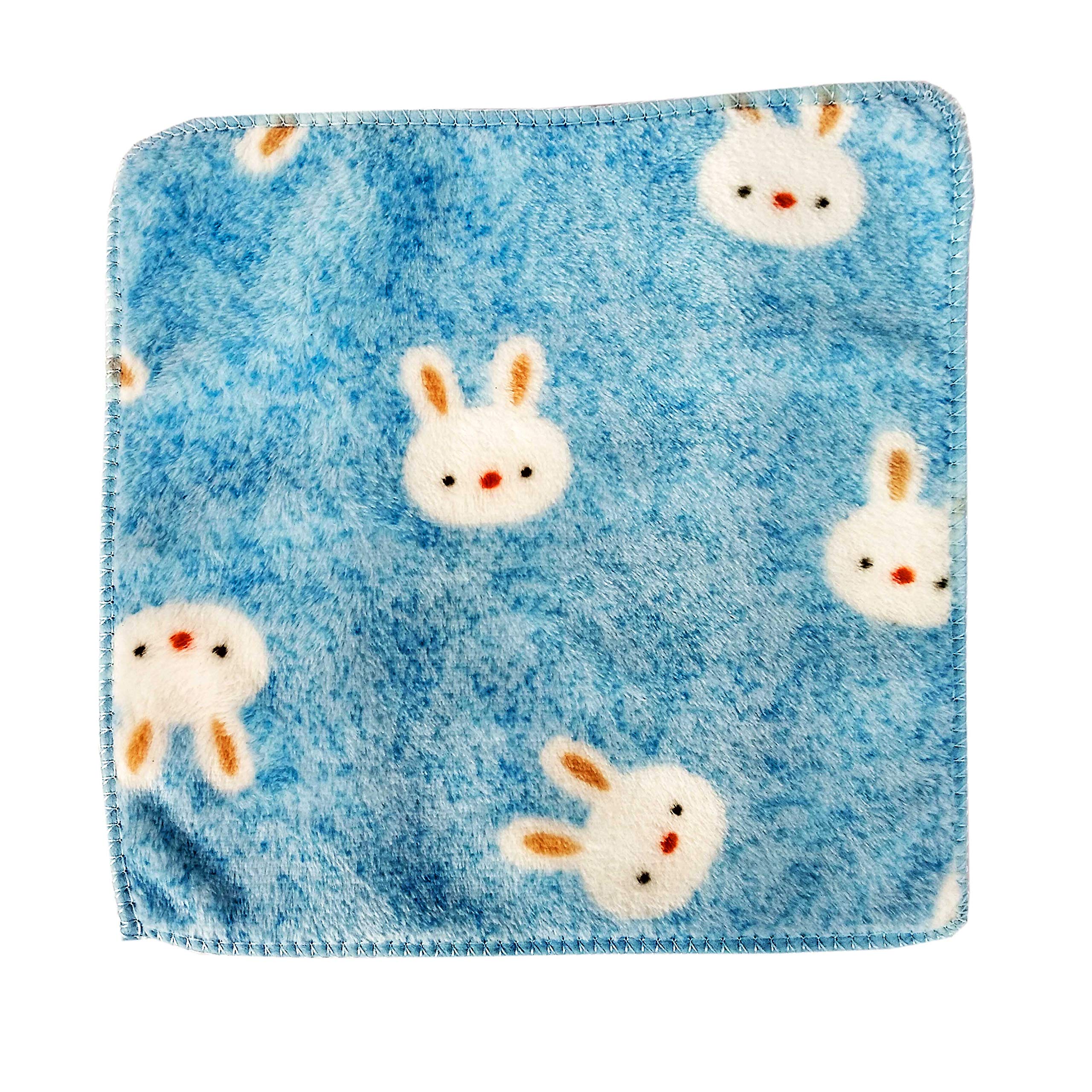 Premium Microfiber Face Towels - Soft, Thick & Absorbent (10x10 Inch, 10-Pack, Multicolor) for Skincare, Gym & Travel - Gentle on Skin, Quick-Drying & Reusable
