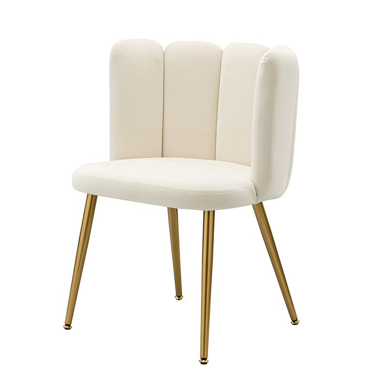Elodia Side Chair - Modern Accent Chair for Dining Room, Living Room & Office - Sturdy Wooden Frame with Upholstered Seat - Perfect for Home Decor & Small Spaces