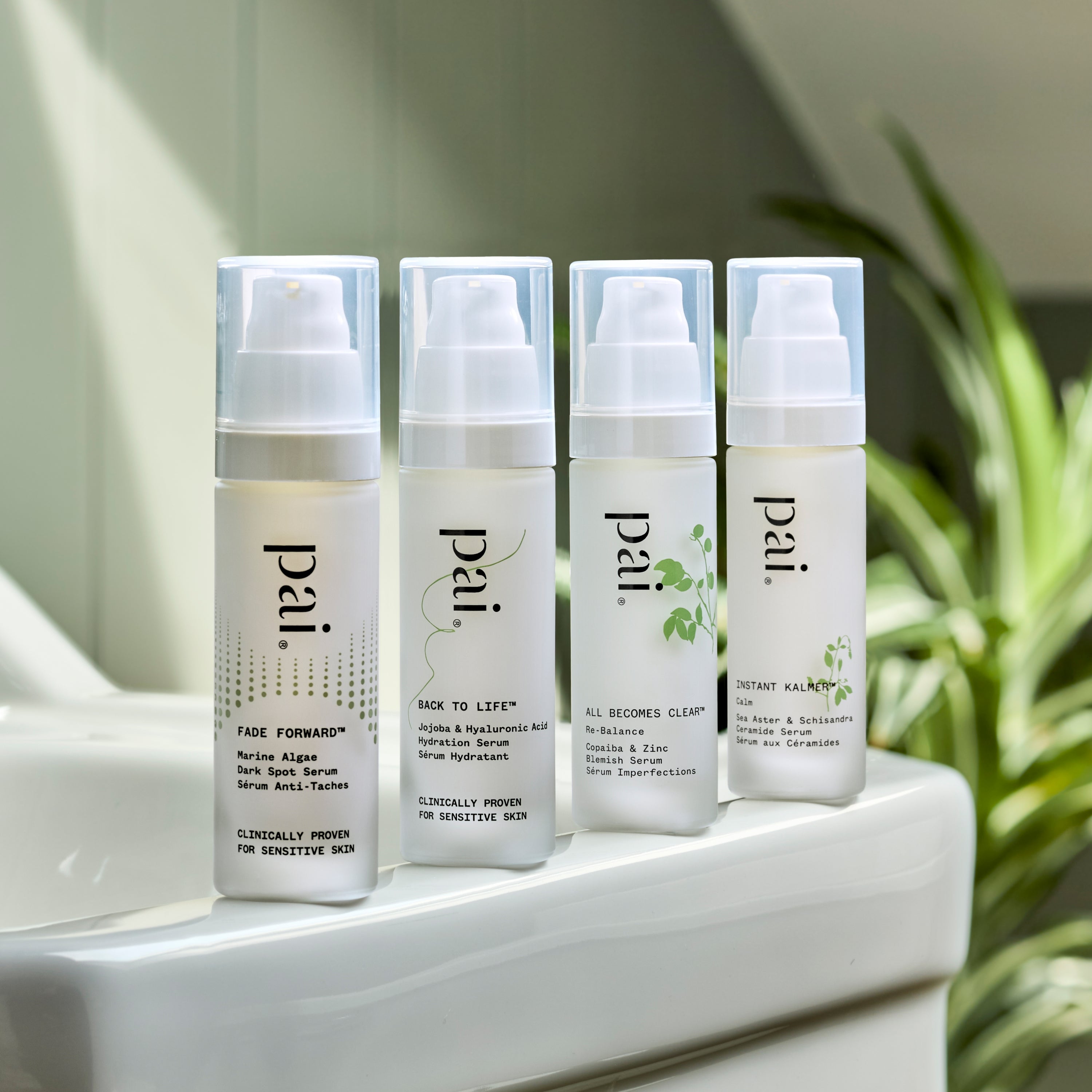 Back to Life - Premium Health & Wellness Supplements for Energy & Vitality | Boost Your Daily Performance & Recovery