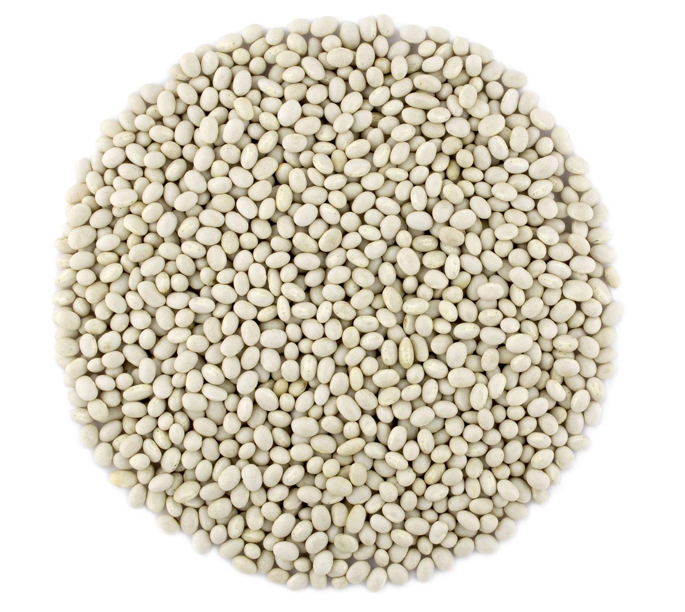 Organic Navy Beans Raw Non-GMO Vegan Bulk 9LB - High Protein Healthy Legumes for Soups, Salads & Slow Cooking