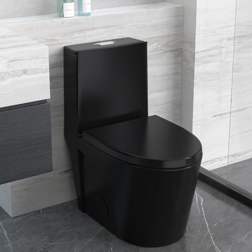 Black(Dual Flush 01)