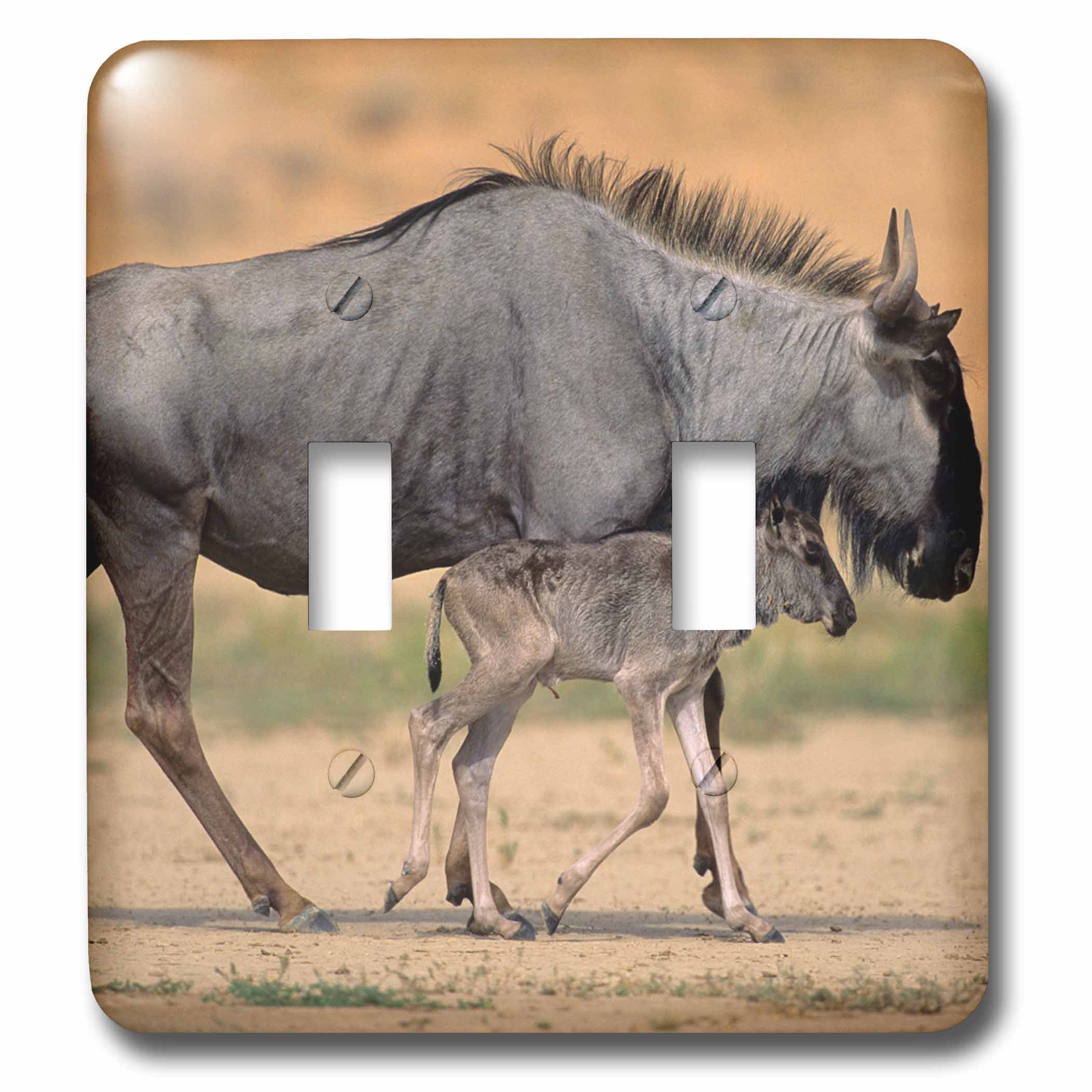 3D Rose Blue Wildebeest and Calf Double Toggle Switch - Multicolor Light Switch Cover for Home, Office & Cabin Decor