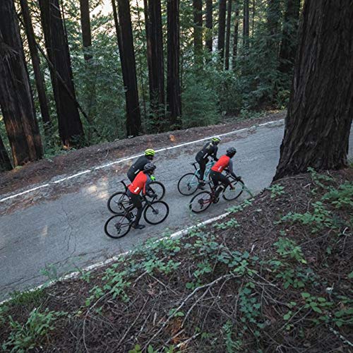 Giro Chrono Expert Halter Bib Knicker - Women's Cycling Shorts for Road & Mountain Biking | Comfortable & Breathable Padded Bike Shorts for Long Rides & Training