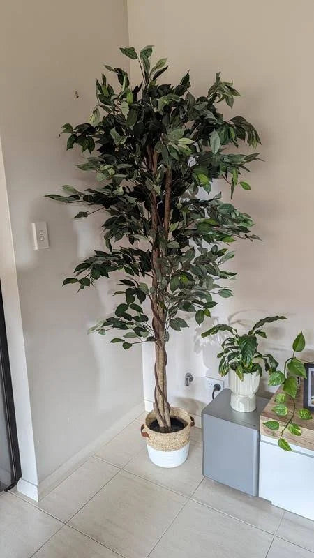 Premium 180cm Artificial Ficus Tree - Realistic Fake Indoor Plant for Home Decor, Office, Living Room, Bedroom - Low Maintenance Houseplant Alternative