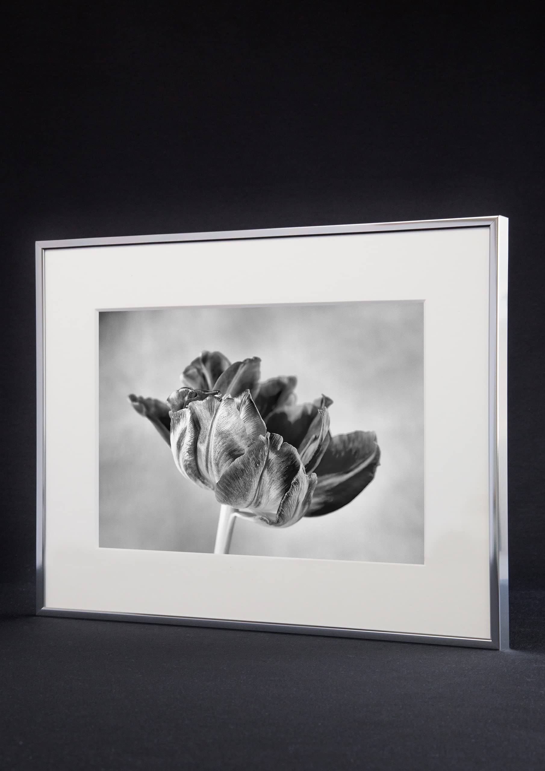 Nielsen Design 30x40 Beige Picture Frame - Premium Wall Art Display for Home, Office & Gallery Decor