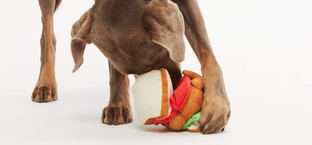 **$18 ONLY: BarkShop Nana's Leftover Sammy Dog Plush Toy – Soft & Durable Chew Toy for Small & Large Dogs – Perfect for Playtime, Training & Cuddling**