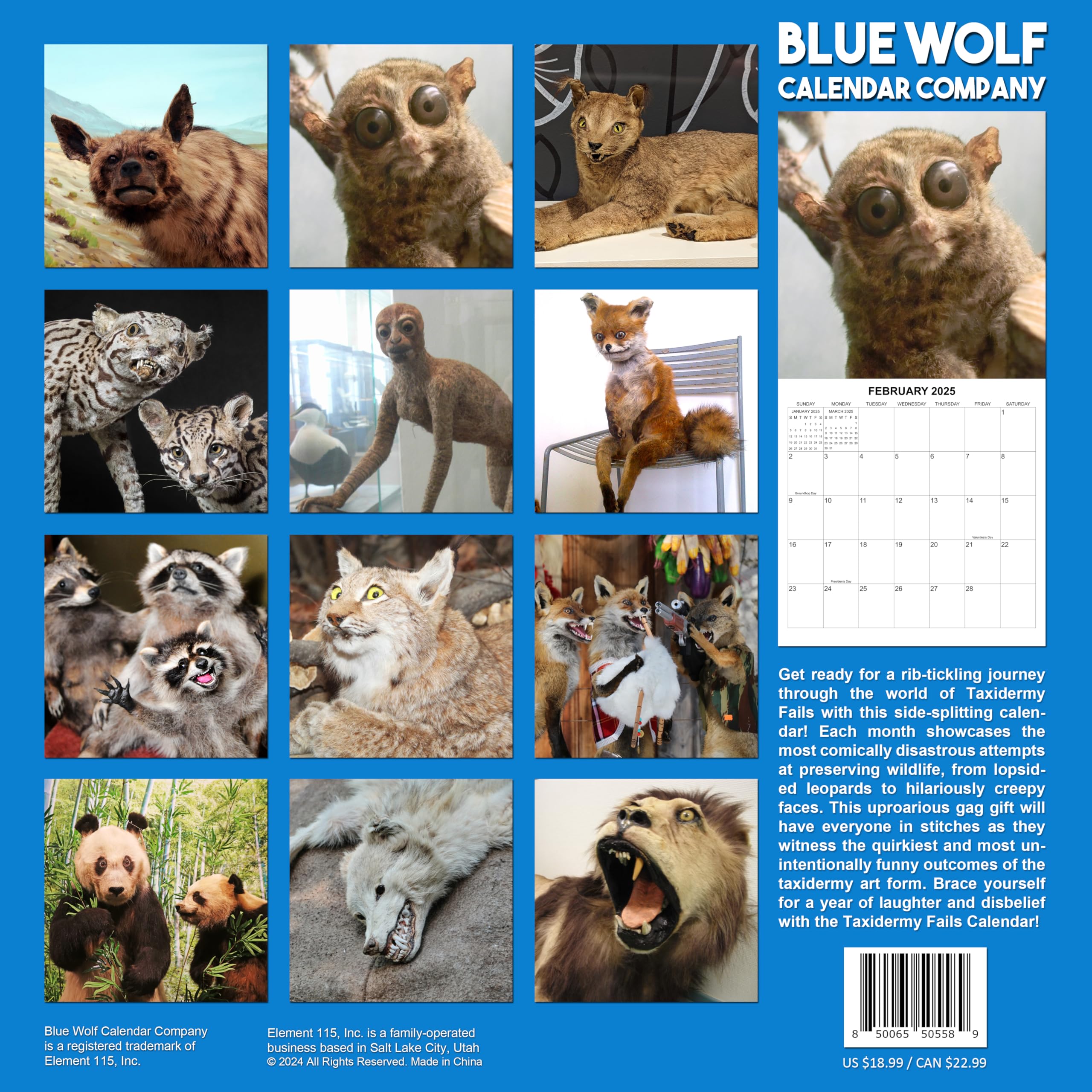 2025 Taxidermy Fails Wall Calendar - 12