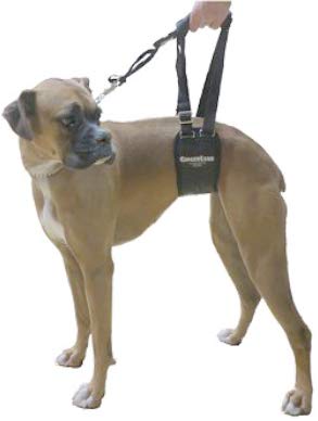 Premium Dog Sling Support Harness for Small to Medium Dogs (20-50 lbs) - Padded Rear Lifting Aid with Leash Attachment - Ideal for Barrel-Chested Breeds Like Boxers & Bullies - Made in USA - Perfect for Elderly Dogs, Post-Surgery Recovery & Mobility Assistance