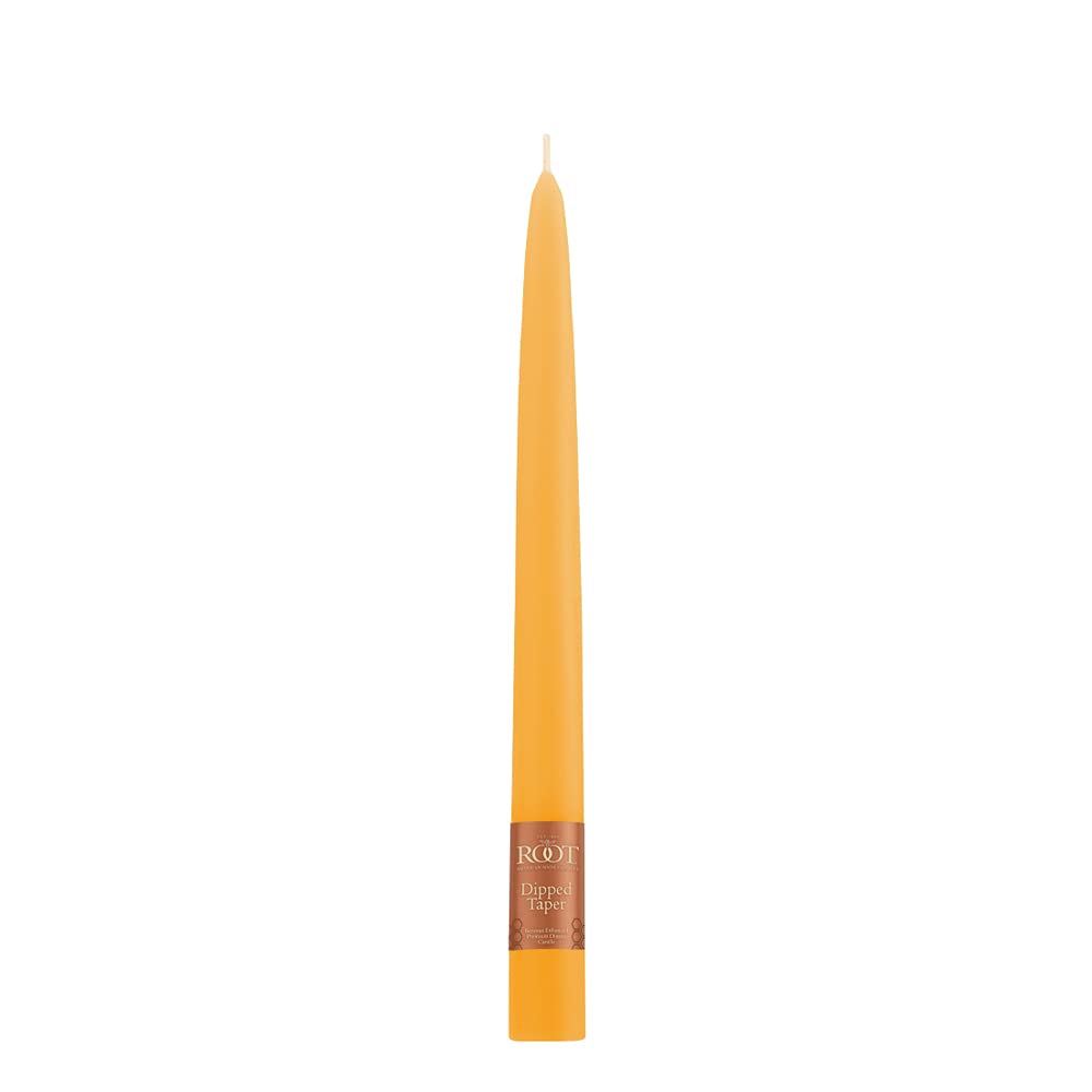 Premium Unscented Beeswax Blend Dinner Candles - 9-Inch Butterscotch Root Candles in Gift Box Set for Romantic Dinners, Wedding Decor & Home Ambiance