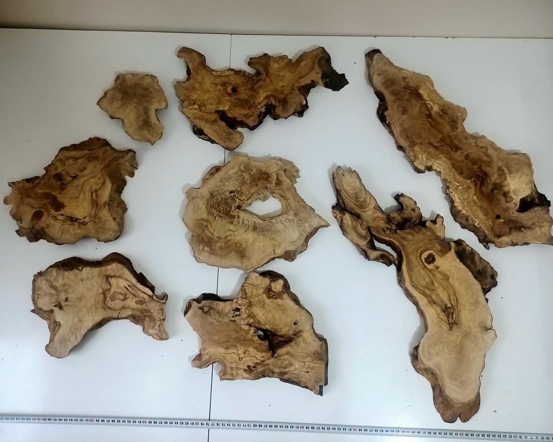 Live Edge Olive Wood Slab Set for DIY Epoxy Resin Tables - Natural Burl Wood Slabs (16 Pieces) - Perfect for River Tables, Countertops, and Woodworking Projects