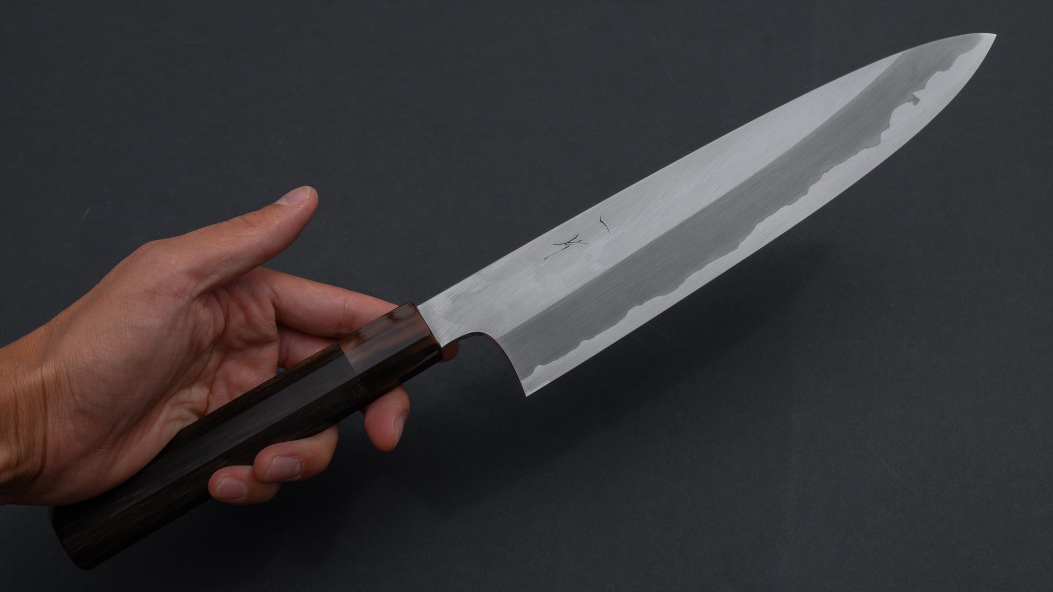 Hitohira Togashi Blue #1 Stainless Clad Migaki Gyuto 240mm Japanese Chef Knife with Taihei Ebony Handle - Perfect for Sushi, Meat Slicing & Precision Cutting