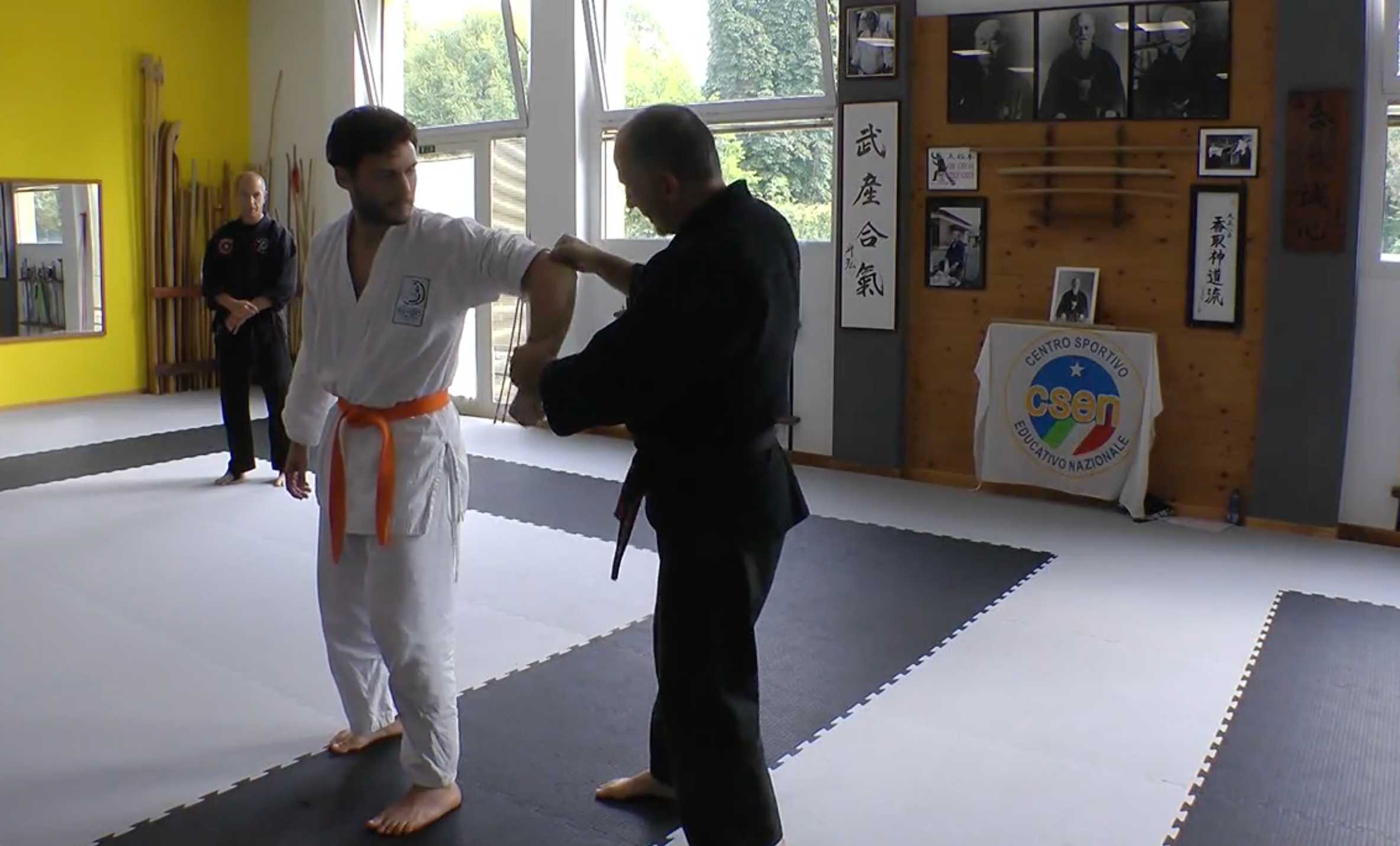 Become a Kyusho Instructor DVD 1 by Gianluca Frisan - Learn Pressure Point Techniques for Self-Defense & Martial Arts Training