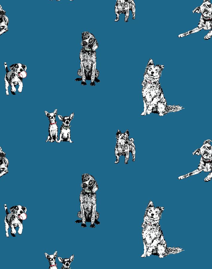 Nathan Turner Mutts Wallpaper in Cadet Blue - Premium Peel and Stick Removable Wallpaper for Bedroom, Nursery, and Home Decor