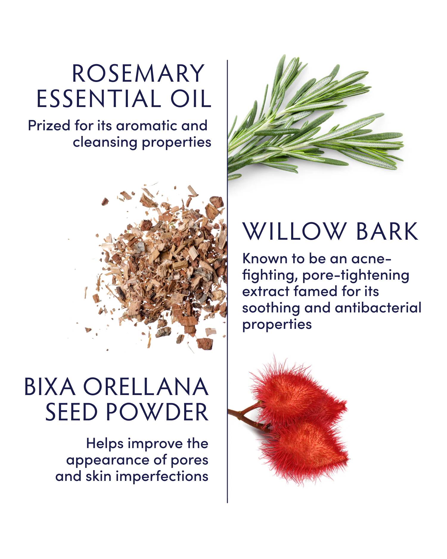 Rosemary & Willow Bark Clarifying Moisturizer - Oil-Free Hydrating Face Cream for Acne-Prone & Oily Skin | Daily Skincare Routine, Morning & Night Use