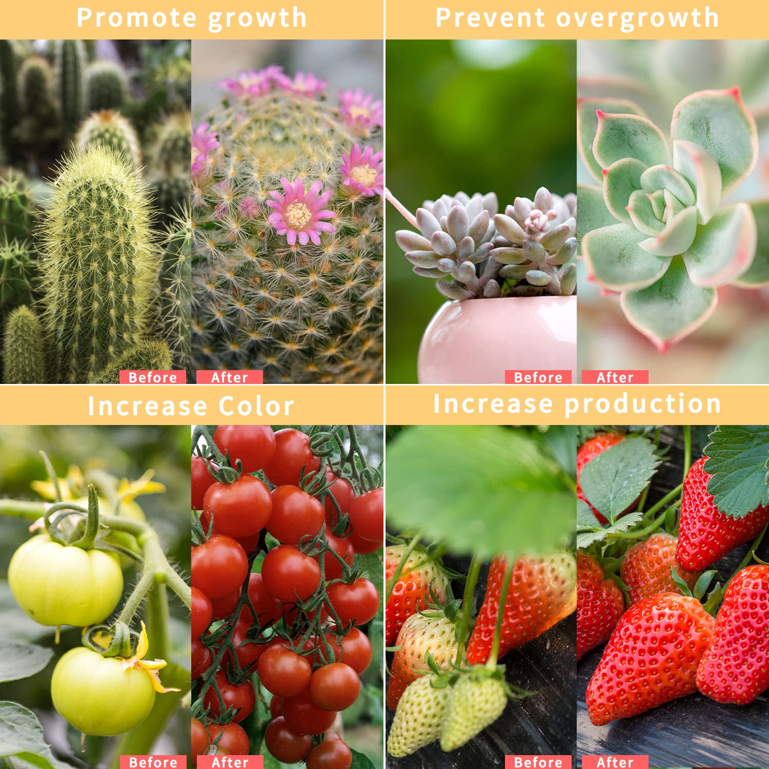 Full Spectrum LED Grow Lights for Indoor Plants - Smart WiFi Grow Light with Timer & Dimmable Clip, App/Voice Control (Alexa/Google/Siri Compatible) - Perfect for Hydroponics, Greenhouses & Home Gardening (2 Tube)