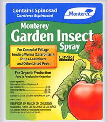 Natural Garden Insect Control Spray - 1 Quart for Organic Pest Management | Safe for Vegetables, Flowers & Lawns