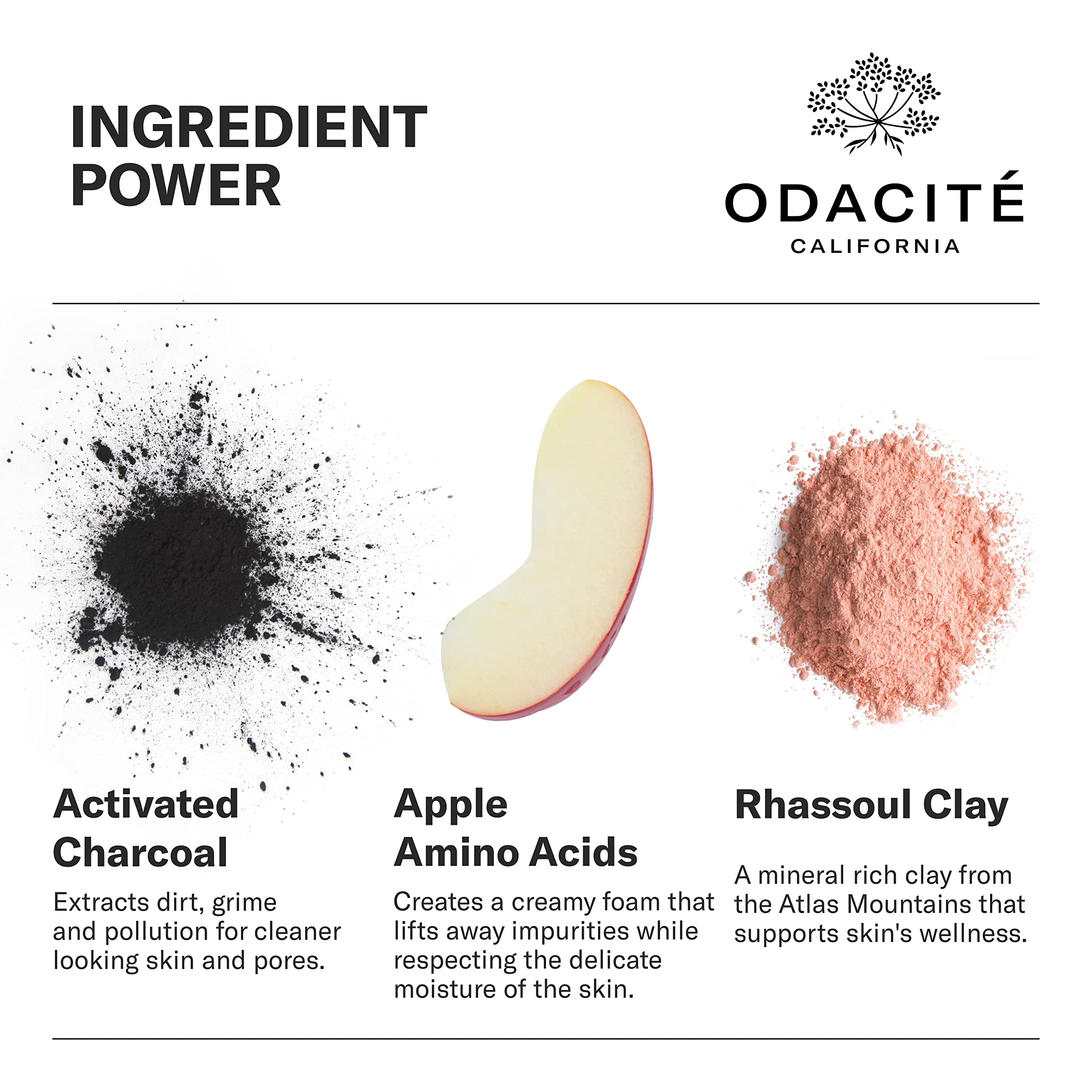 Odacité Black Mint Activated Charcoal & Rhassoul Clay Facial Cleanser - Deep Cleansing Foam Face Wash for Oily & Acne-Prone Skin - Gentle Exfoliating & Oil Control - 3.38 fl oz | Perfect for Daily Skincare Routine & Travel Size