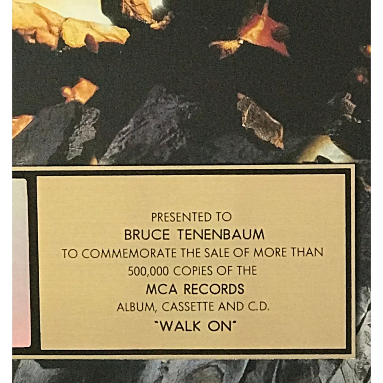 Boston Walk On RIAA Gold Album Award - Certified Music Achievement Plaque for Artists & Bands - Perfect for Studio Display, Fan Gifts & Music Memorabilia Collection