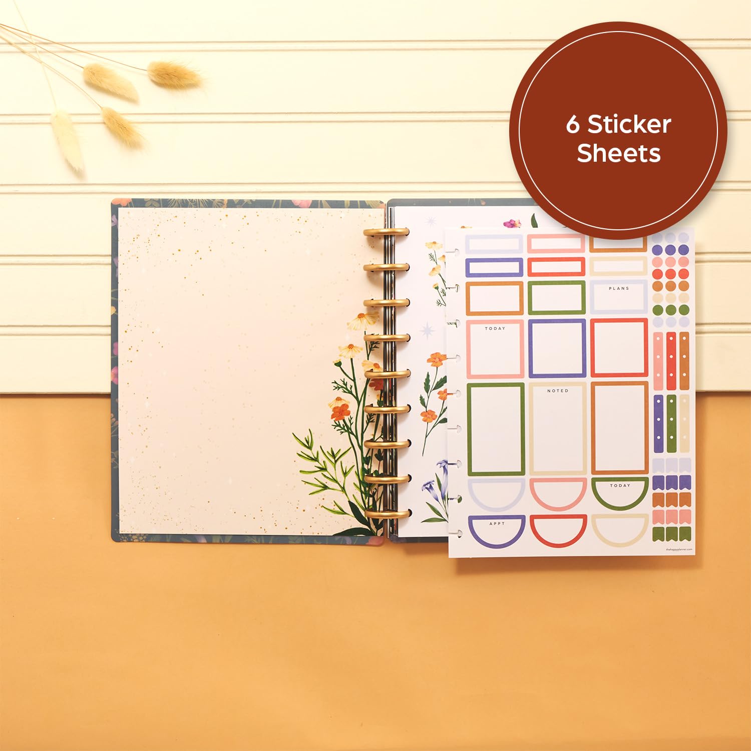 Happy Planner Disc-Bound 12-Month Planner 2025 - Classic Size (7