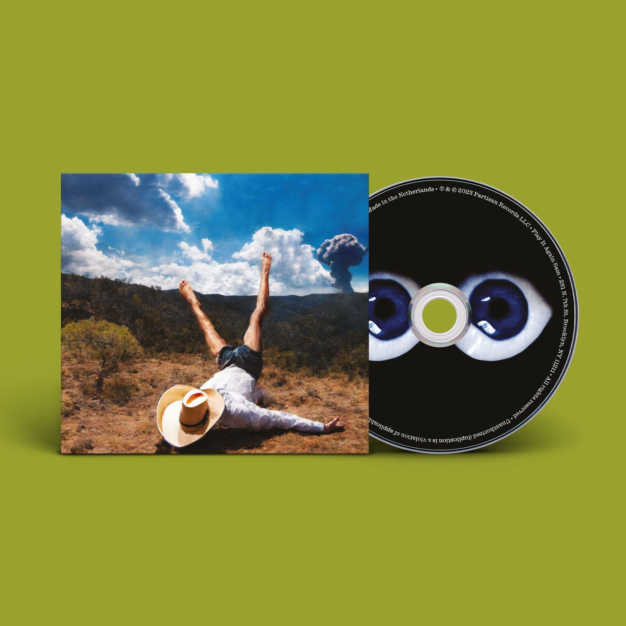3D Country Goose CD - Vintage & Decorative Wall Art for Home, Office, or Cabin Decor