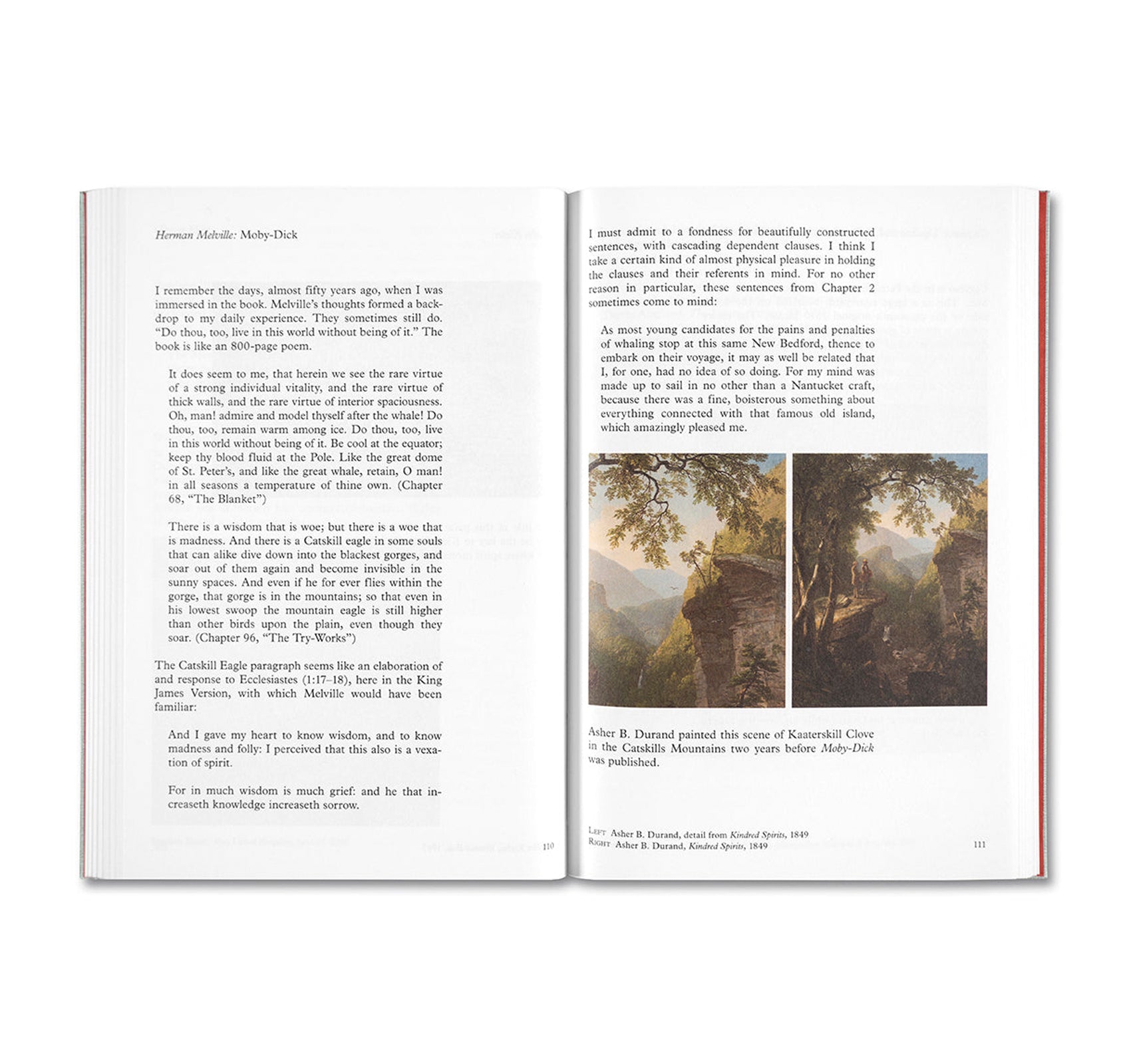 Modern Instances: The Craft of Photography by Stephen Shore - Master Photography Techniques for Artists & Professionals | Perfect for Studio, Travel & Street Photography