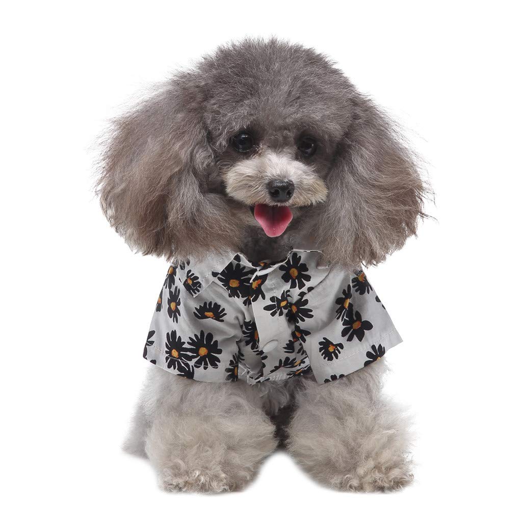 Stylish Pet Hawaiian Shirt for Dogs - Floral Daisy Print Spring & Summer Dog Clothes | Extra Small Dog Sweater for Female Pets | Perfect for Thanksgiving, Beach Parties & Outdoor Adventures