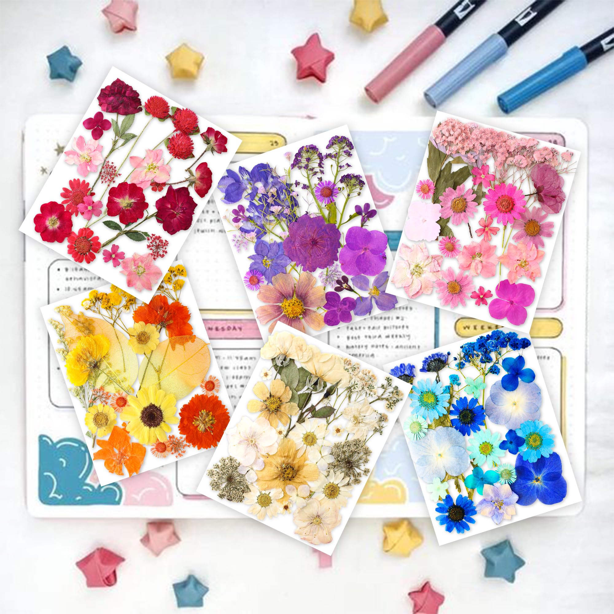 221PCS Real Nature Dried Pressed Flowers for Resin Craft, DIY Jewelry Making, Nail Art, Scrapbooking - Includes Butterfly Transparent Stickers - Perfect for Home Decor, Wedding Invitations & Summer Craft Projects