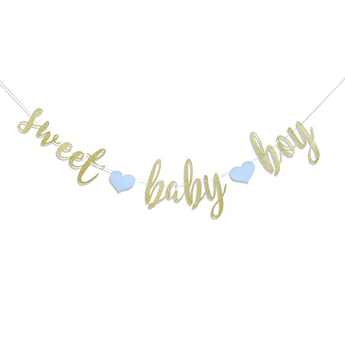Sweet Baby Boy Banner