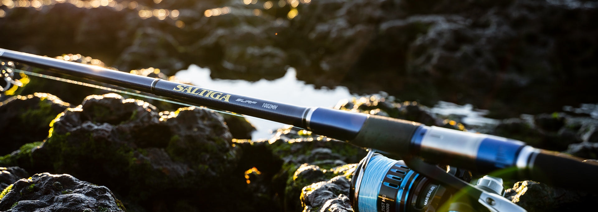 Daiwa 21 Saltiga Surf Spin Fishing Rod - Saltwater Surf Casting Rod for Beach & Shore Fishing | Heavy Duty Spinning Rod for Big Game Fish