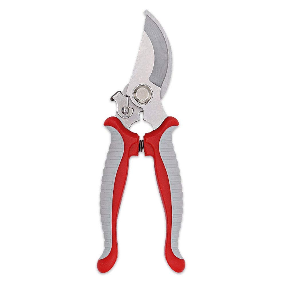 Professional Pruning Shears - Sharp Hand Pruners & Gardening Scissors for Fruits, Vegetables, Plants | Durable Beak Design for Easy Trimming | Perfect for Home Gardeners, Landscaping & Outdoor Use
