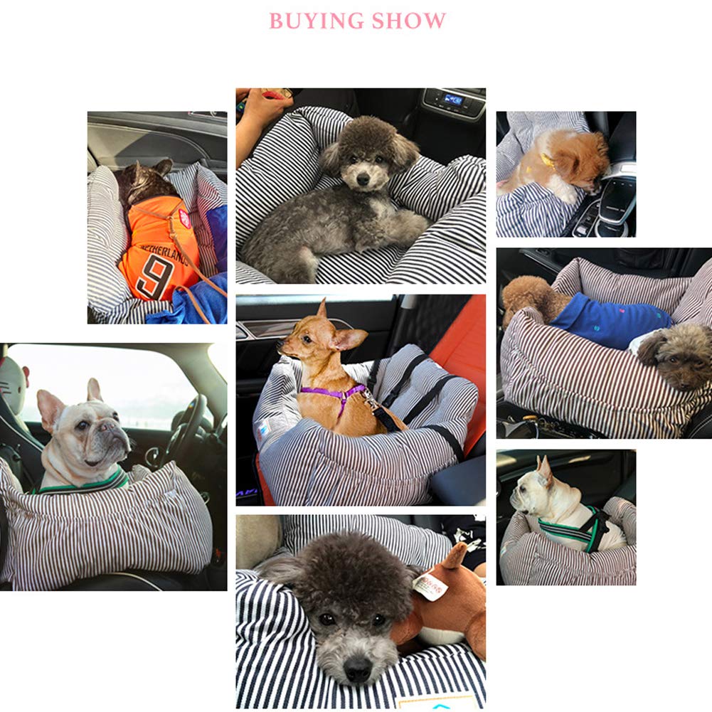 Dog Car Seat for Small to Medium Dogs - Puppy Booster Seat with Storage Pocket & Safety Leash | Soft, Comfortable & Washable Pet Travel Carrier | Perfect for Road Trips, Vet Visits & Daily Commutes