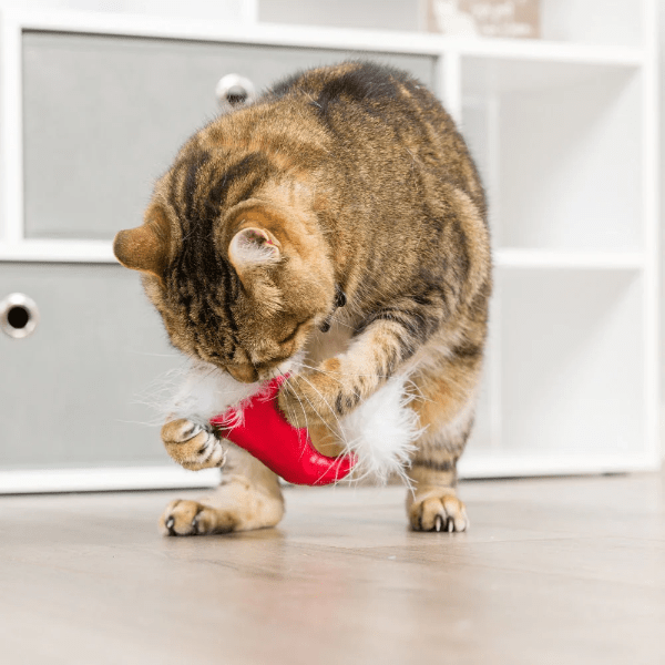 Huxley & Kent Santa Hat & Sweet Thing Candy Cat Toy - Fun Holiday Gift for Cats, Interactive Playtime for Kittens & Adult Felines