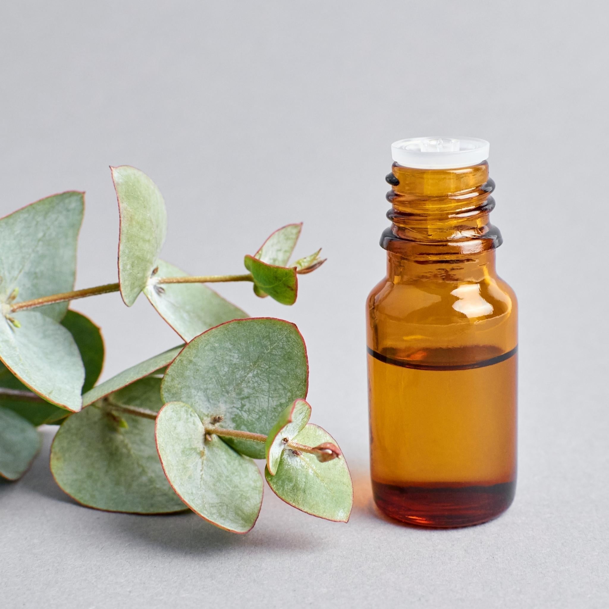 Eucalyptus Spearmint Fragrance Oil - 100% Pure Essential Oil for Aromatherapy, Diffusers & DIY Candles - Relaxing Scent for Home Spa, Yoga & Stress Relief