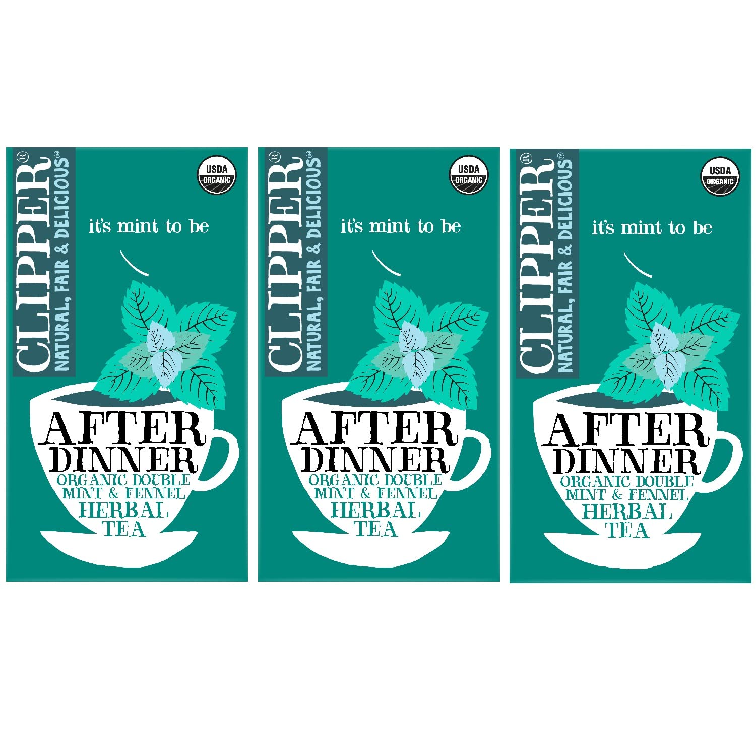 Organic Mint & Fennel Herbal Tea Bags - USDA Certified, Non-GMO, Caffeine-Free After Dinner Tea - 60 Unbleached Tea Bags (3-Pack) - Perfect for Relaxation & Digestive Support