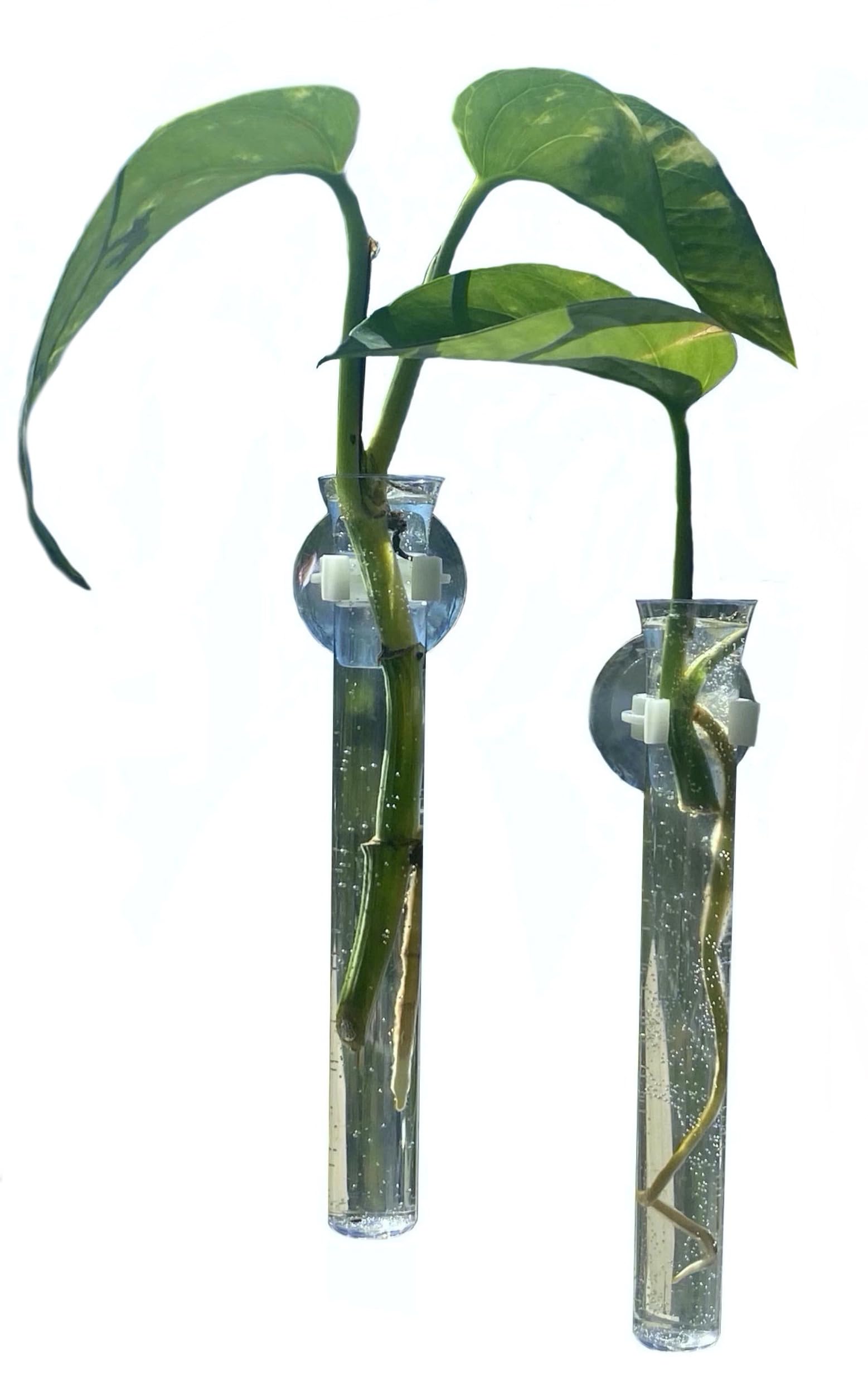12 Clear Plastic Propagation Vases with Suction Cups - Hydroponic Plant Growers, Window & Mirror Decor for Indoor Gardening - Perfect for Herbs, Succulents & Home Decor Projects