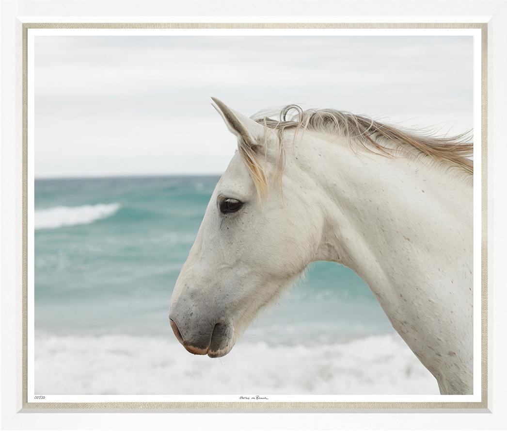 Beautiful Horse Running on Beach - Stunning Coastal Scenery Wall Art for Home & Office Decor | Perfect for Living Rooms, Bedrooms & Beach Houses