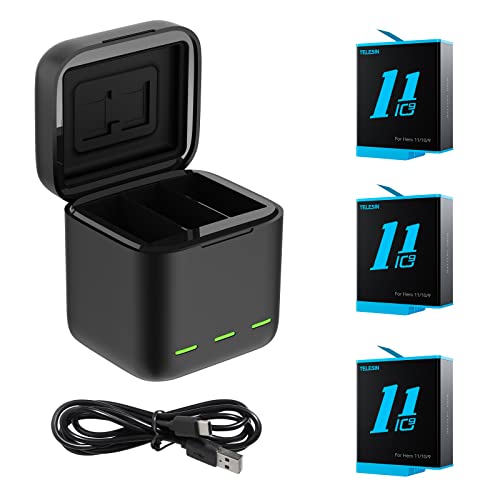 chargeur + 3 batteries