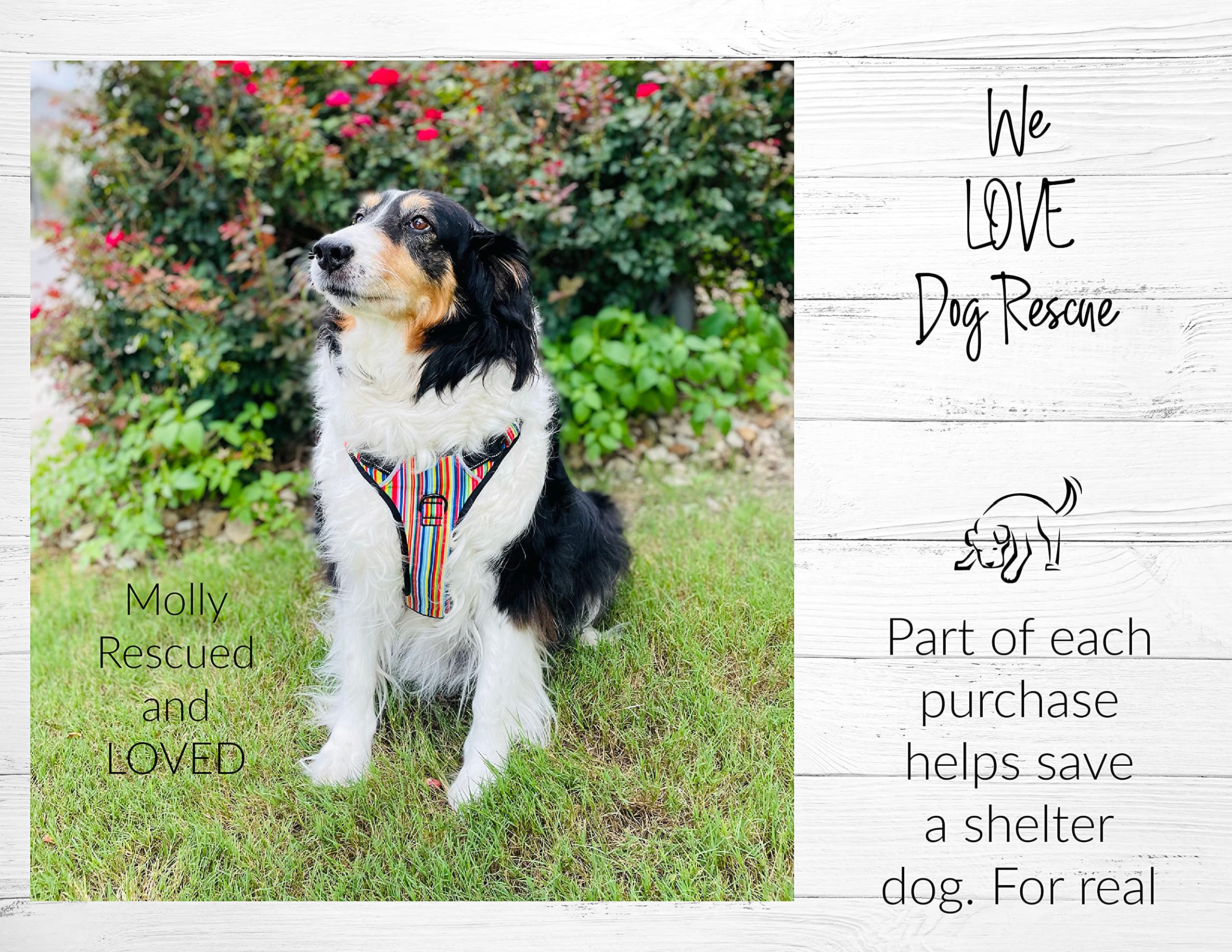 No Pull Dog Harness - Adjustable & Easy Walk Pet Harness for Small Medium Large Dogs - X-Small Primrose Floral Pattern (Black & Purple) - Perfect for Training, Walking & Outdoor Adventures