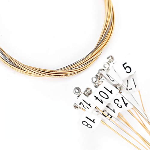19 Strings