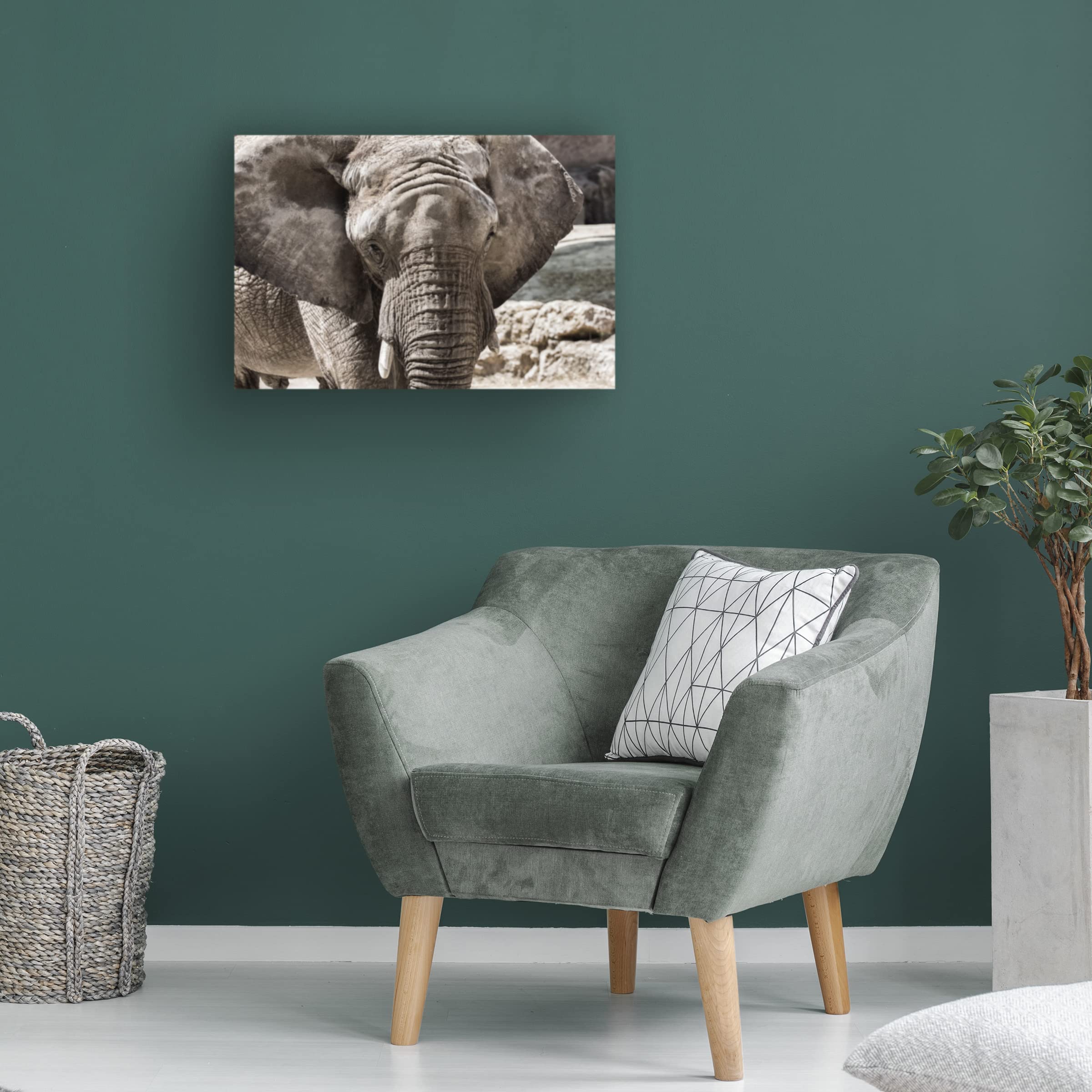 Trademark Fine Art 'The Boss' Canvas Art by Nuno Araujo - Premium Wall Decor for Living Room, Office & Modern Home Interiors