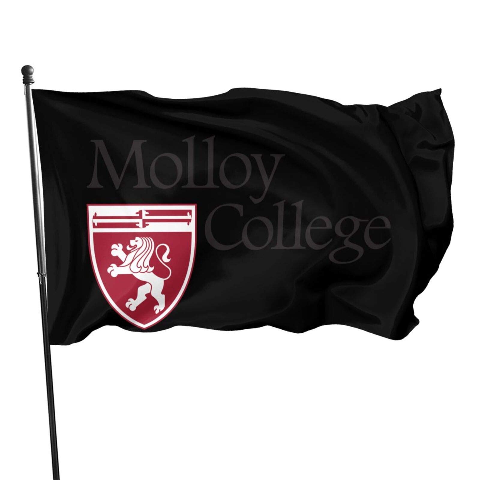 Molloy College Logo 3x5 Feet Outdoor Flag - UV Fade Resistant, Durable Polyester for Porch, Garden, Holiday & Christmas Decoration - Perfect for College Pride, Home Welcome & New Year Celebrations