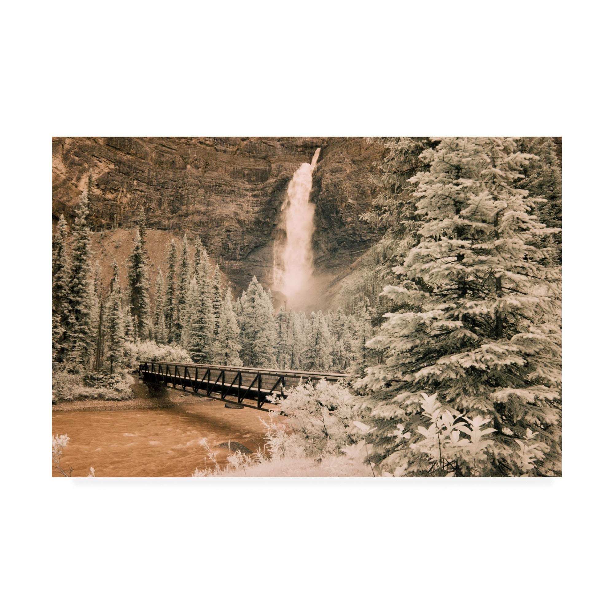Monte Nagler Takkakaw Falls and Bridge Canadian Rockies Canada Fine Art Print - 16x24 Inches - Stunning Landscape Wall Decor for Living Room, Office & Gallery