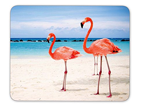 Flamingos Walking on The Beach