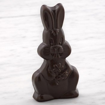 Organic Hopp'N Bunny Dark Chocolate by Lake Champlain - 3.75oz Easter Gift, Holiday Treat & Vegan Dessert for Parties, Gifting & Special Occasions