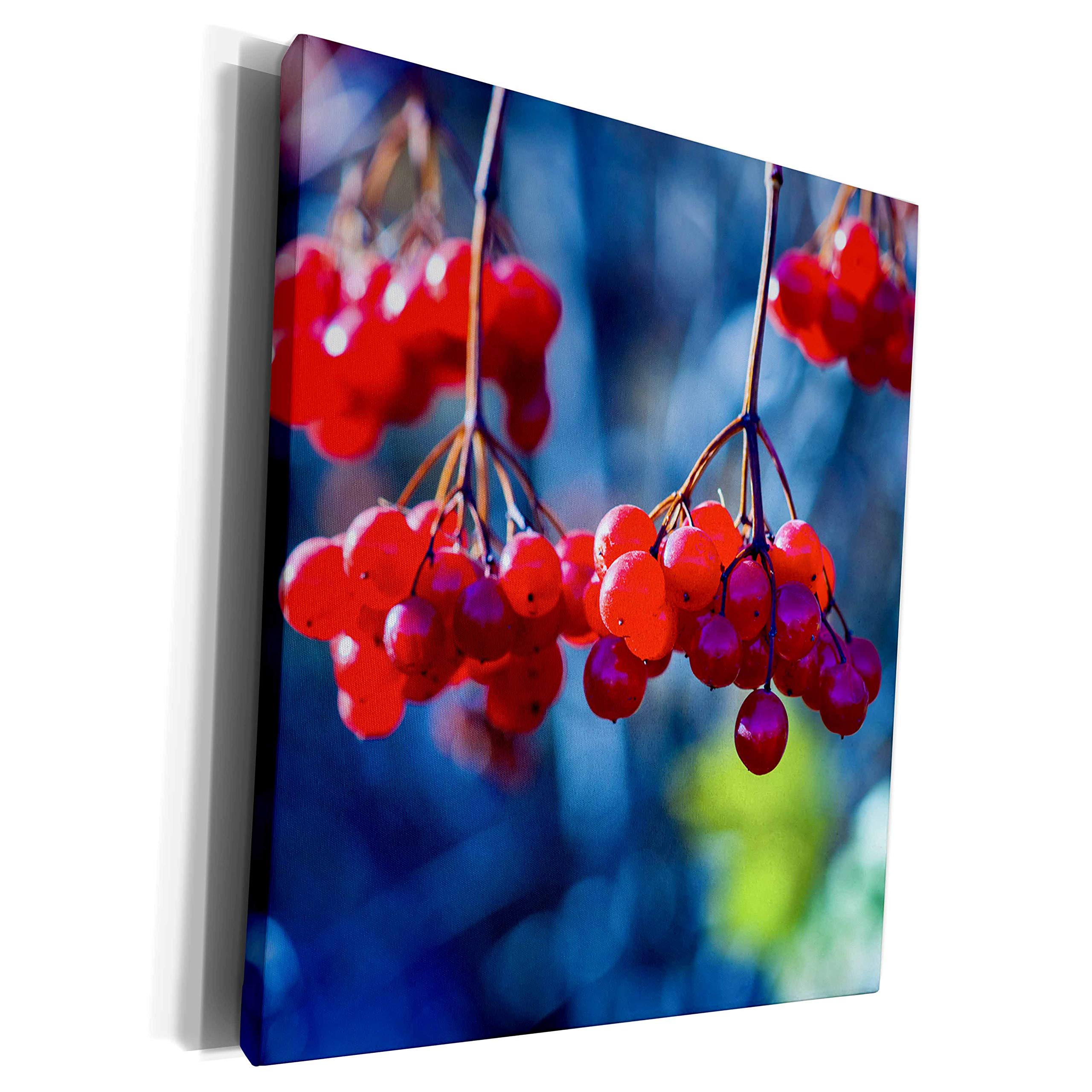 3D Rose Red Arrowood Berries with Dark Blue Background - Premium Museum Grade Canvas Wrap Art Print (cw_272270_1) - Perfect for Living Room, Bedroom, and Office Wall Decor