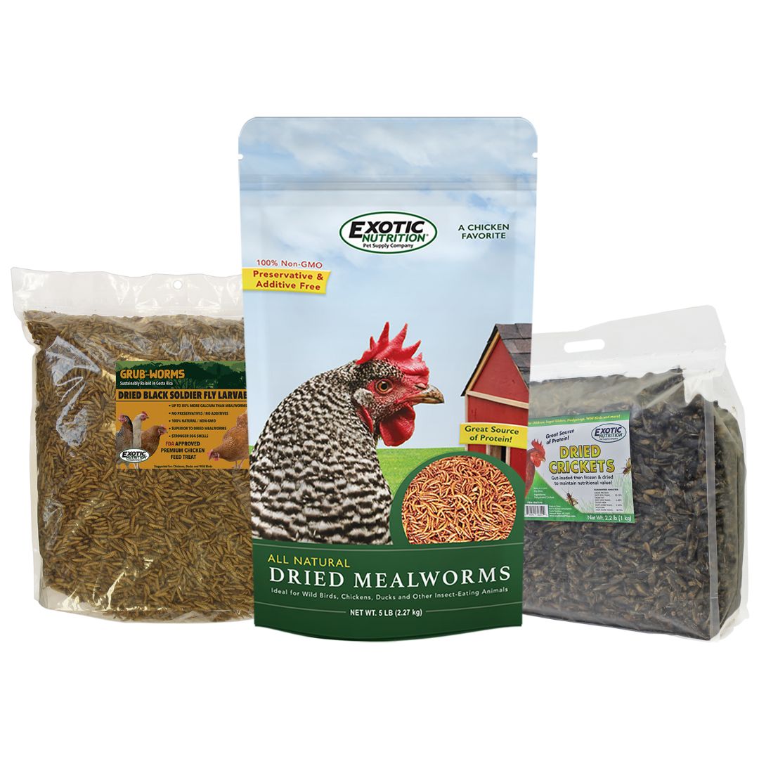 Premium Bulk Dried Insect Trio - High Protein Mealworms, Crickets & Grasshoppers for Reptiles, Birds & Fishing Bait | Natural Pet Food & Outdoor Adventure Supplies