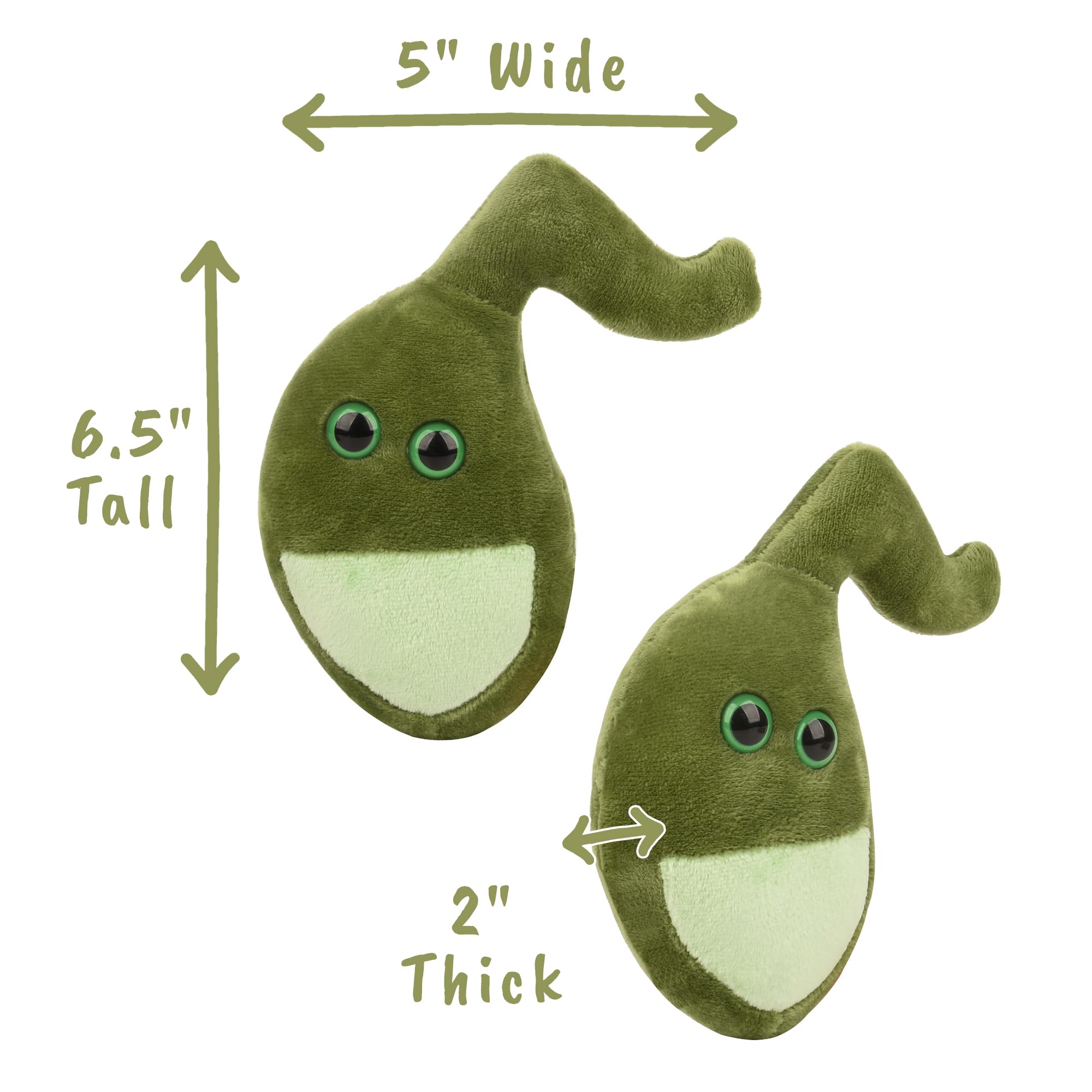GIANTmicrobes Gallbladder Plush - Cute Biology Stuffed Animal Organ Toy, Perfect Get Well Gift for Gallbladder Surgery Recovery & Gastroenterology Enthusiasts | Great Hospital Gift & Science Education Tool for Kids & Adults