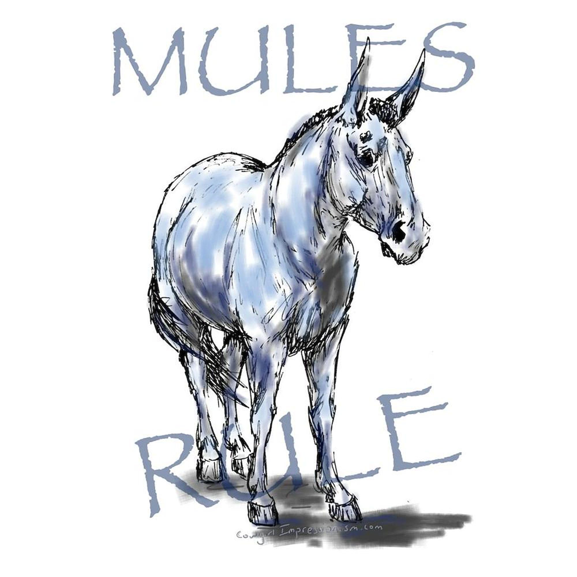 CafePress Mules Rule 20 oz Large Ceramic Coffee Mug - Perfect for Home, Office & Gifts | Insulated Hot & Cold Beverage Cup